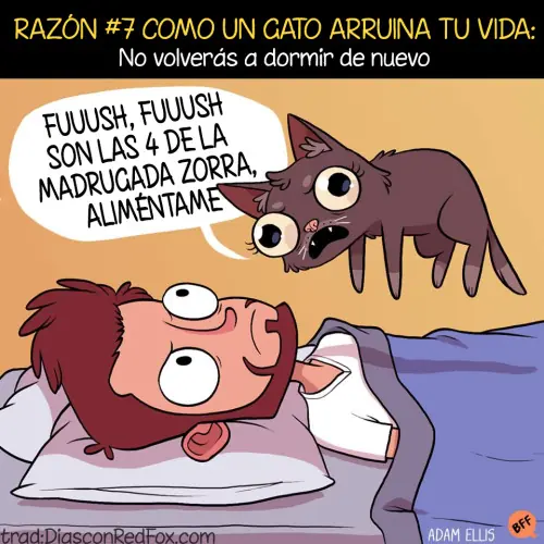 imagenes