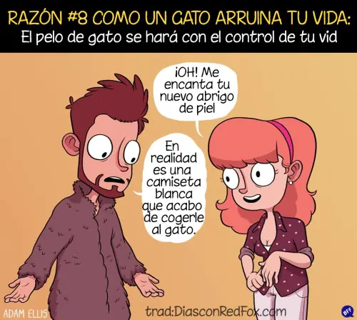 gatos