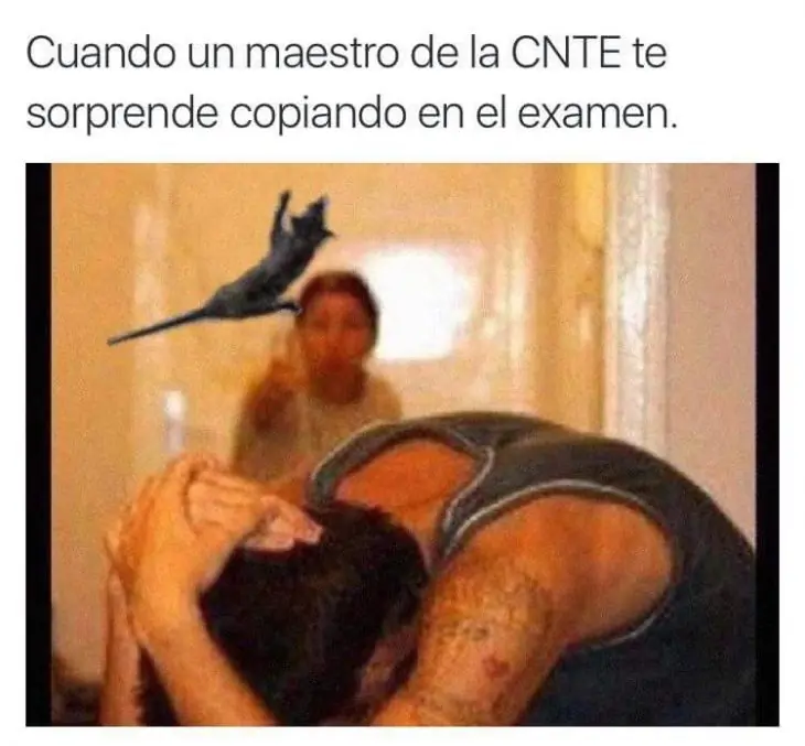 Memes del Tlacuache usado como misil en supuesto enfrentamie