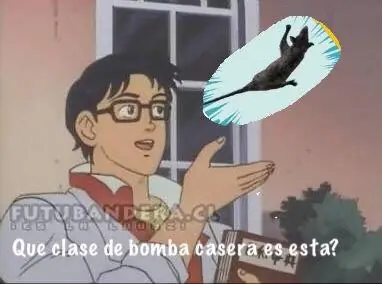 tlacuache