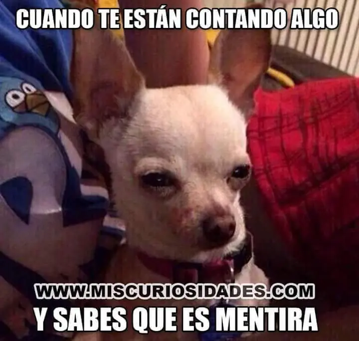rufianes
