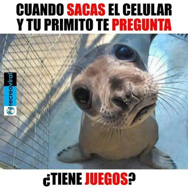 humor