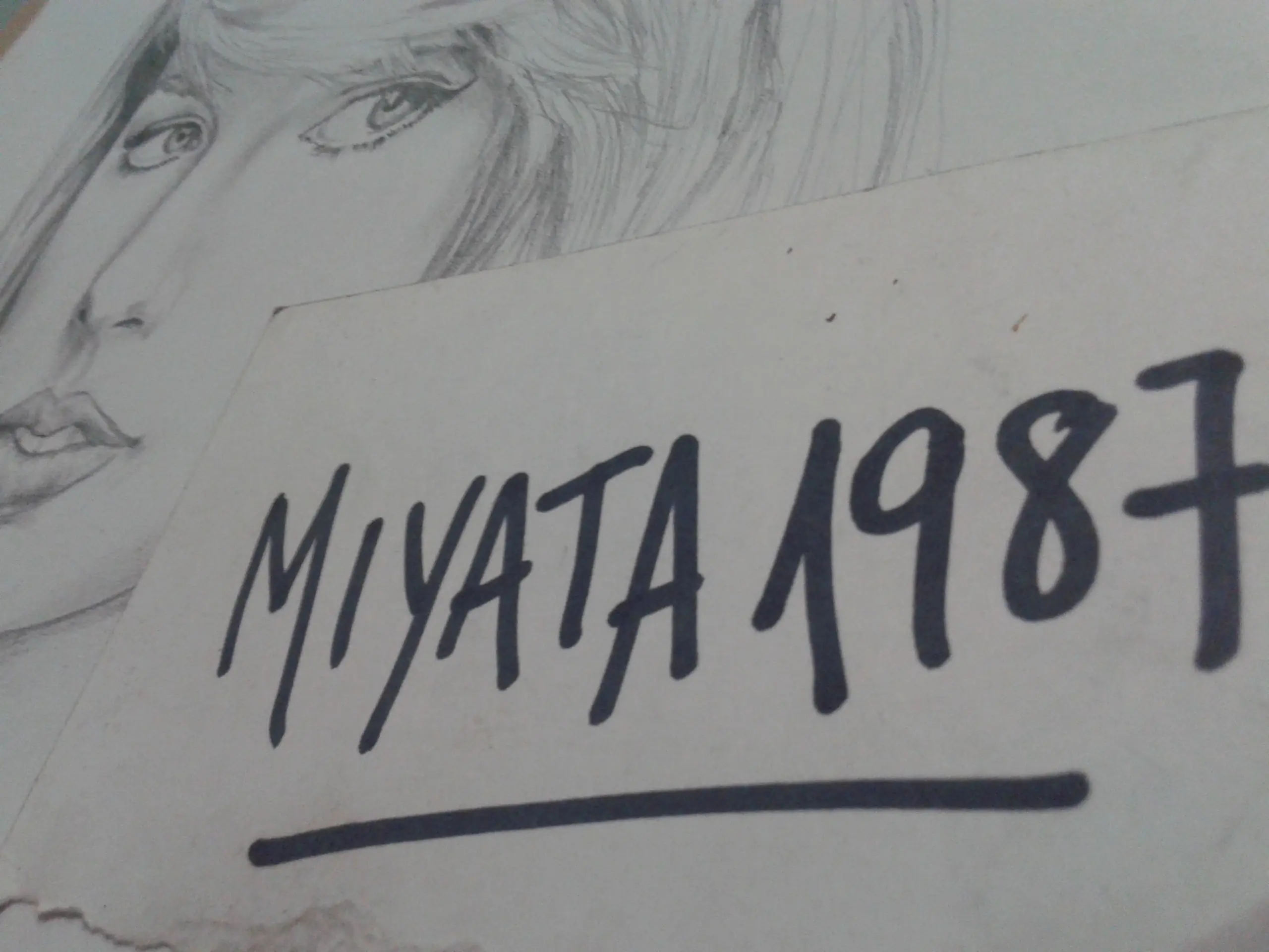 dibujos a pedido