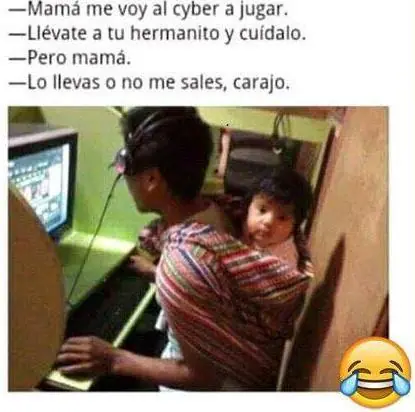 Lincesas