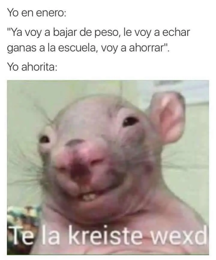 alegrar el dia