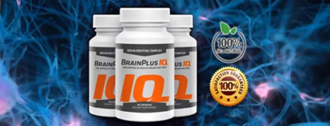 brain plus iq