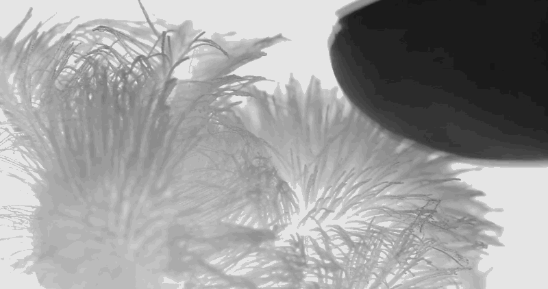Imprimir en 3D fibras, sirven como sensores y mueven objetos
