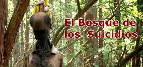 El Bosque de los Suicidios (Aokigahara)(Imagenes fuertes)