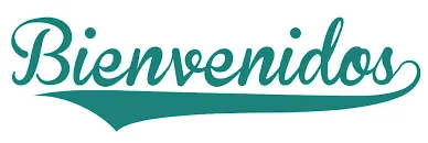 El espectacular "bug" de las hormigas