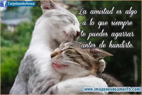 postales de amistad