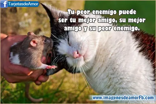 mensajes de amistad