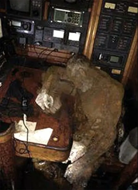 Naufragó con su velero y fué hallado momificado