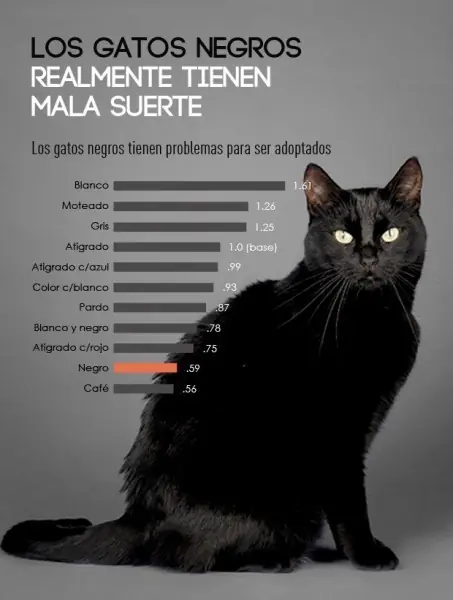 colorada