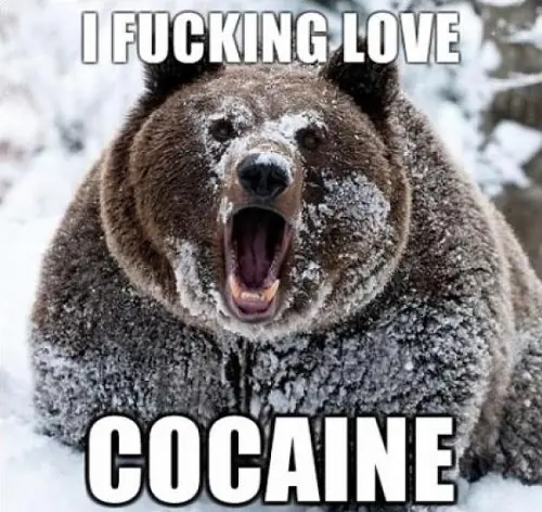 69 preguntas curiosas y sus debidas respuestas