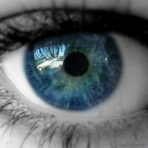 reflexion
