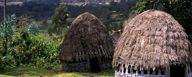 69 preguntas curiosas y sus debidas respuestas