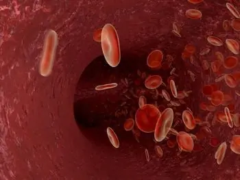vitamina e