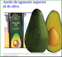 Palta Aguacate bondades