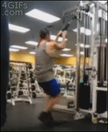 los gifs
