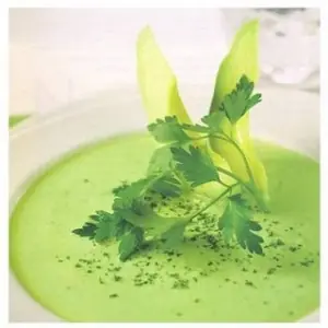 palta