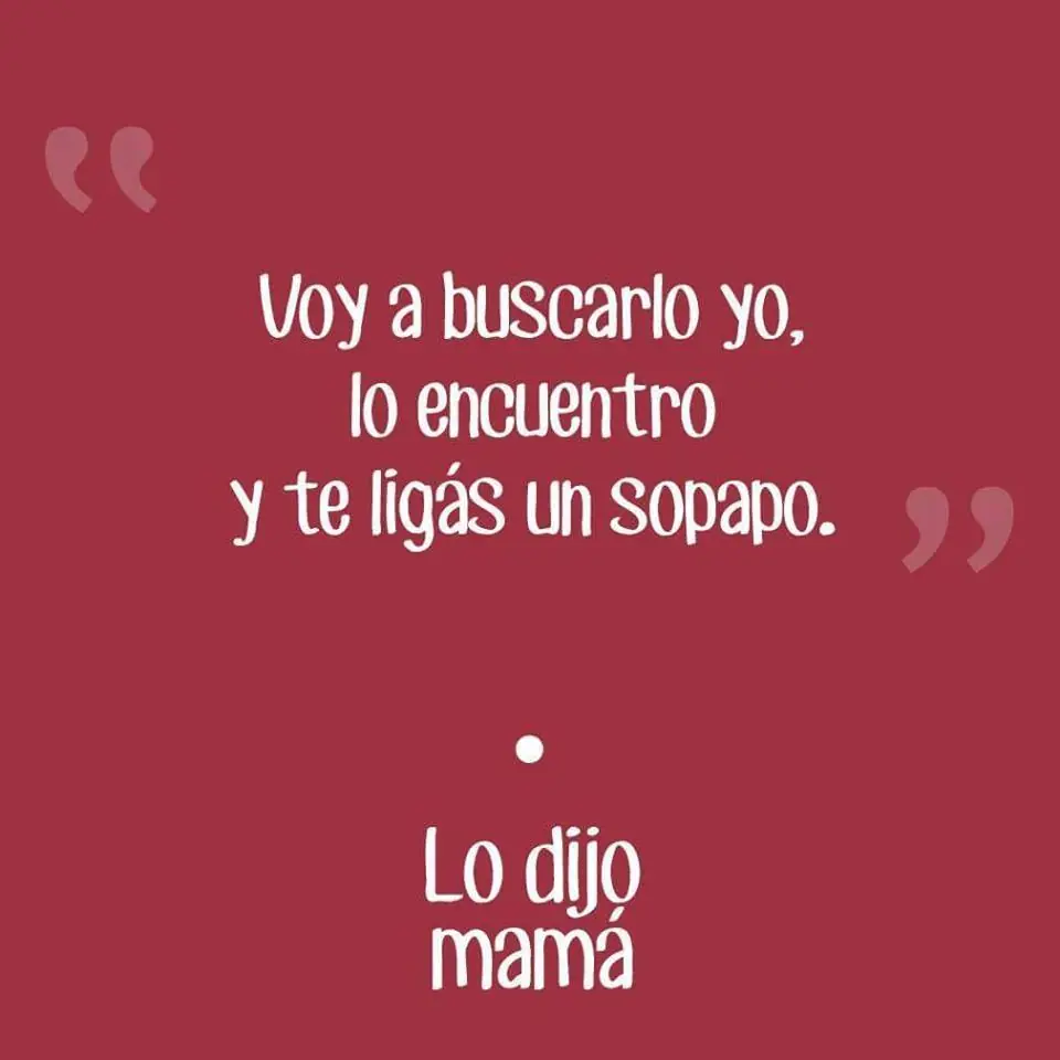 Palabras que siempre van a decir tu vieja entra lince