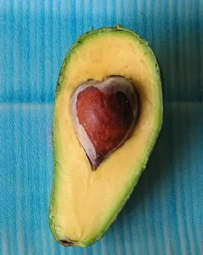 Palta Aguacate bondades