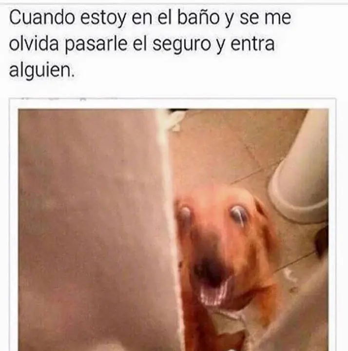 gracioso