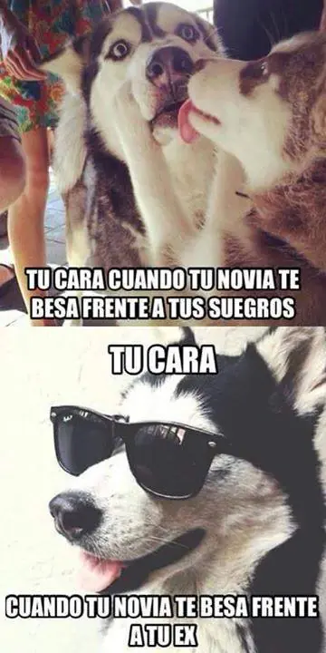 humor