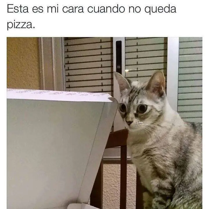 mujeres