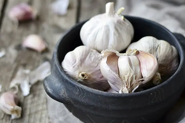 Estos son los 9 beneficios de comer AJO...