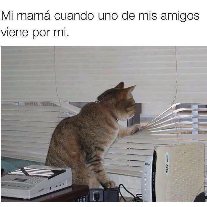 fiera