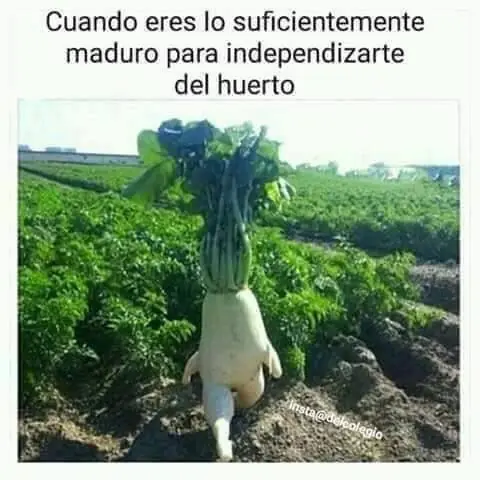 reir