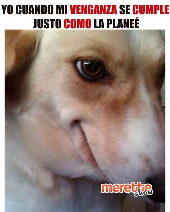 imagenes