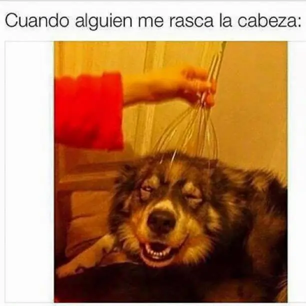 humor