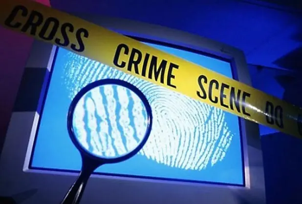 cyber crimen
