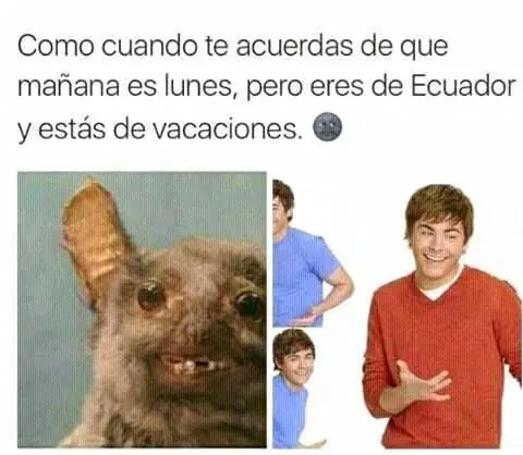 reir