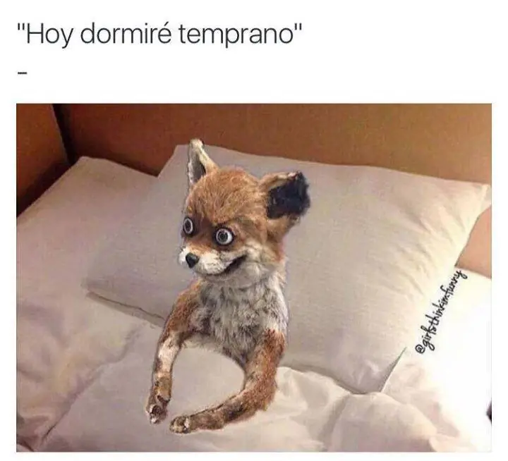 mujeres