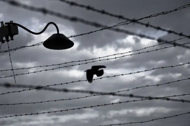 La persecución de los homosexuales en la Alemania nazi