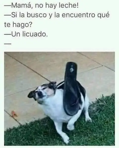 mujeres