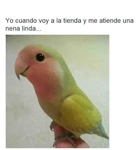 Humor para la fiera taringuera! (parte XIX)