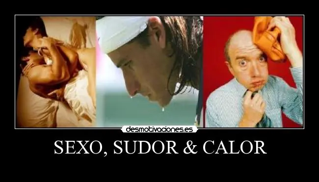 Sexo