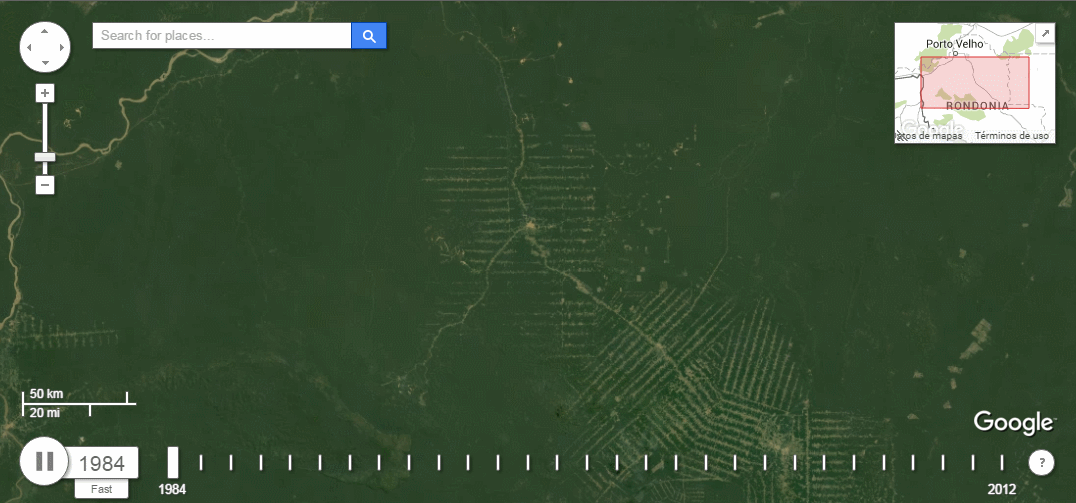 deforestacion