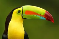 Uruguay