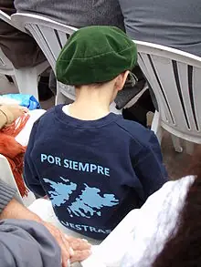 malvinas