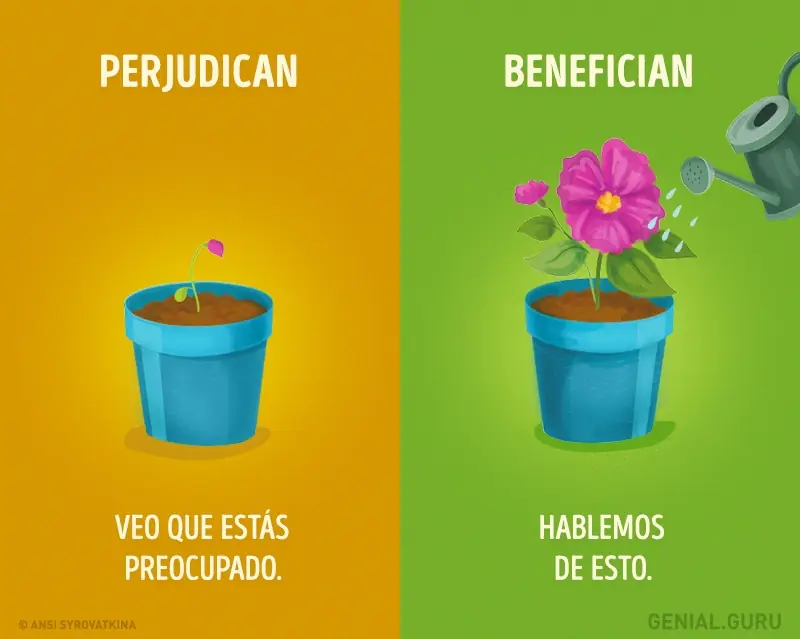 educacion