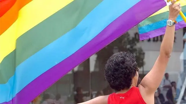 Las terapias de conversión para homosexuales