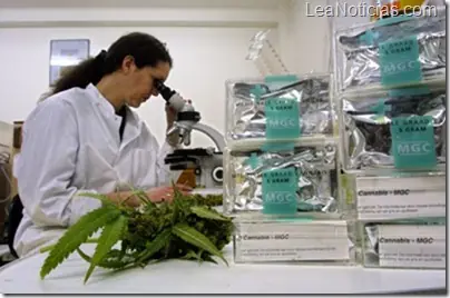 Fumar marihuana es bueno para la salud