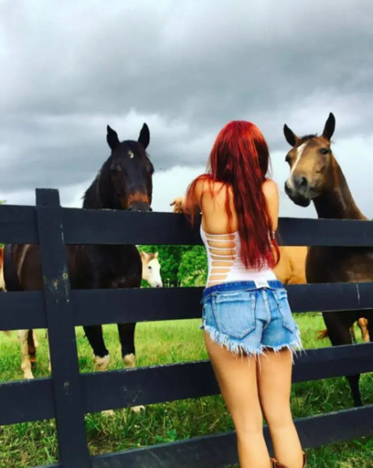 hermosa hermosa