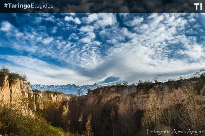 elegidos de junio
