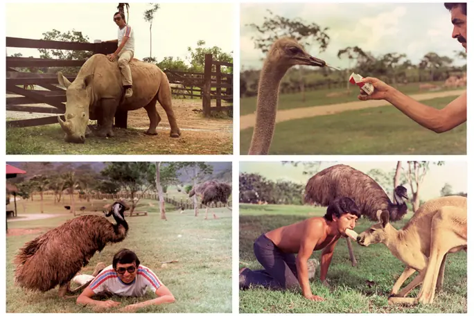 Pablo Escobar: 17 datos enfermos sobre el capo de capos